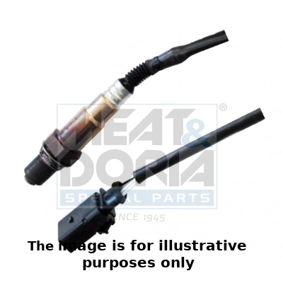 Oxygen Sensor